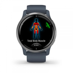 Garmin - Venu 2 3,3 (1.3") Amoled 45 Mm Plata Gps (Satélite) - Nuevo